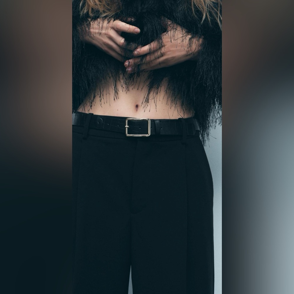 Zara Belted Pleated Pants - Picture 4 of 7